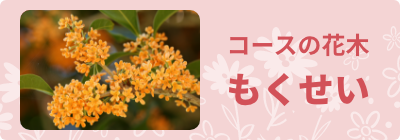 コースの花木、もくせい