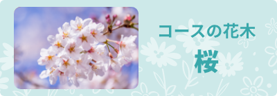 コースの花木、桜